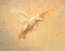 medit.jpg (13659 bytes)